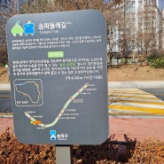 서울 산책코스 송파둘레길 탄천길