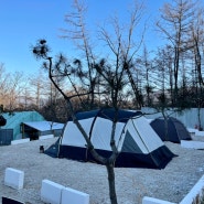 🏕캠핑) 캠린이의 여섯번째 캠핑 기록 / 포천 지투캠핑장 / 스노우라인 새턴패밀리 / 커플캠핑