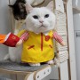 맥도날드 고양이