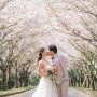 [wedding] 봄날의 웨딩 여섯번째. 딜라이트 제주스냅