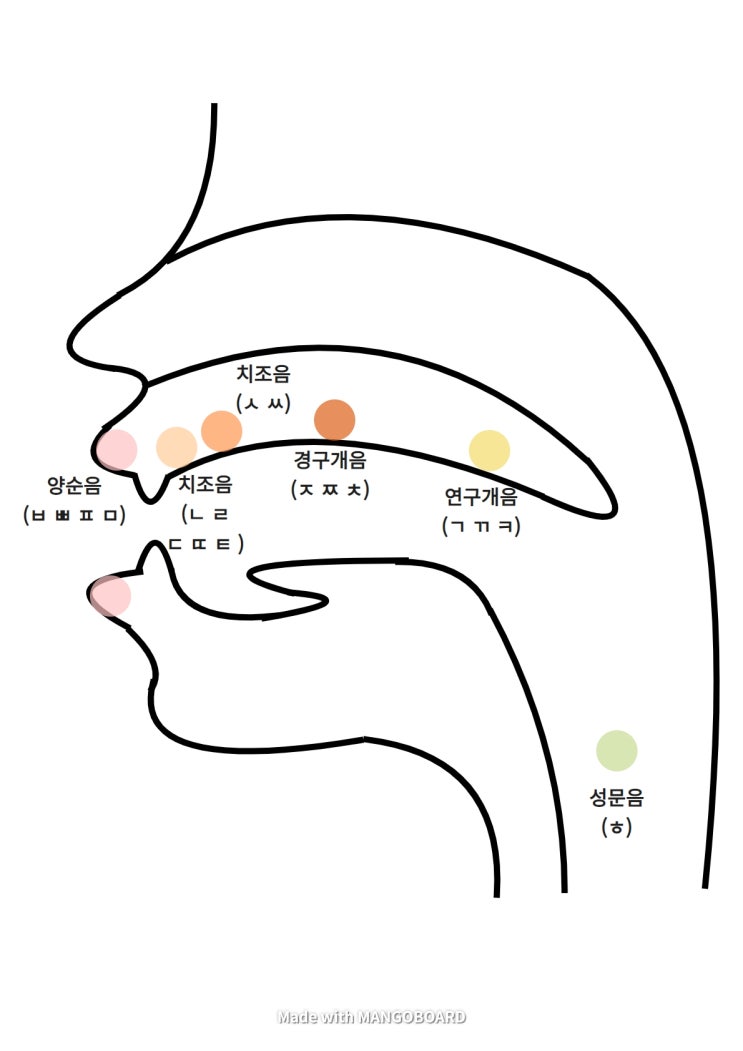 조음 발달 기초 이론 : 네이버 블로그