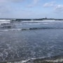 [태안 트래킹] 꽃지해변의 파도