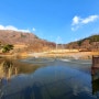괴산 성불산자연휴양림 동화의숲 생태공원 무인카페 아이들 천국