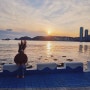 부산 일몰맛집 영도 절영해안산책로, 흰여울문화마을 터널포토존