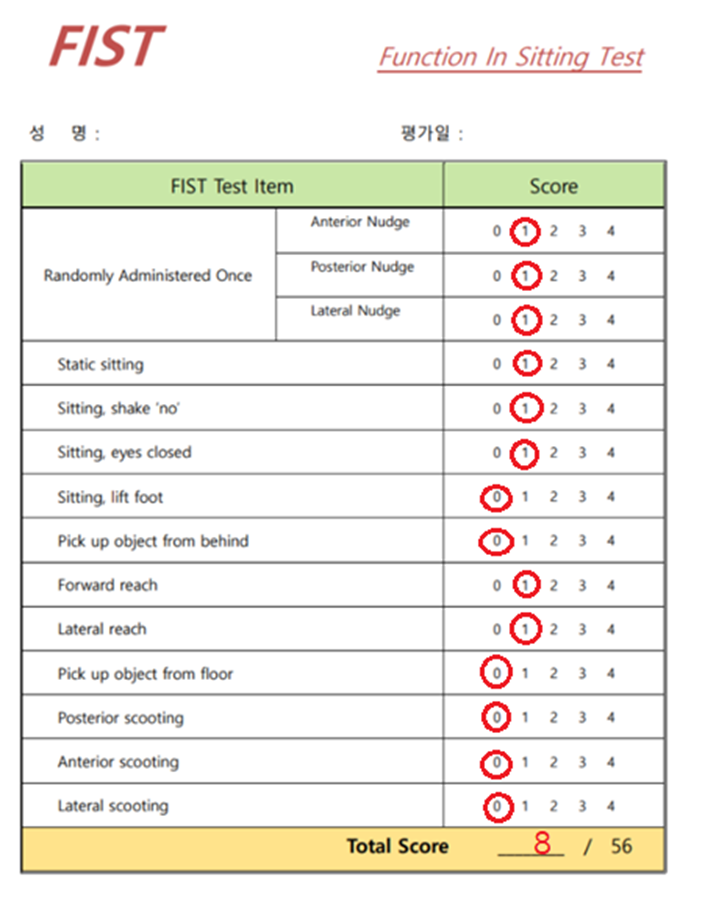  function in sitting test 