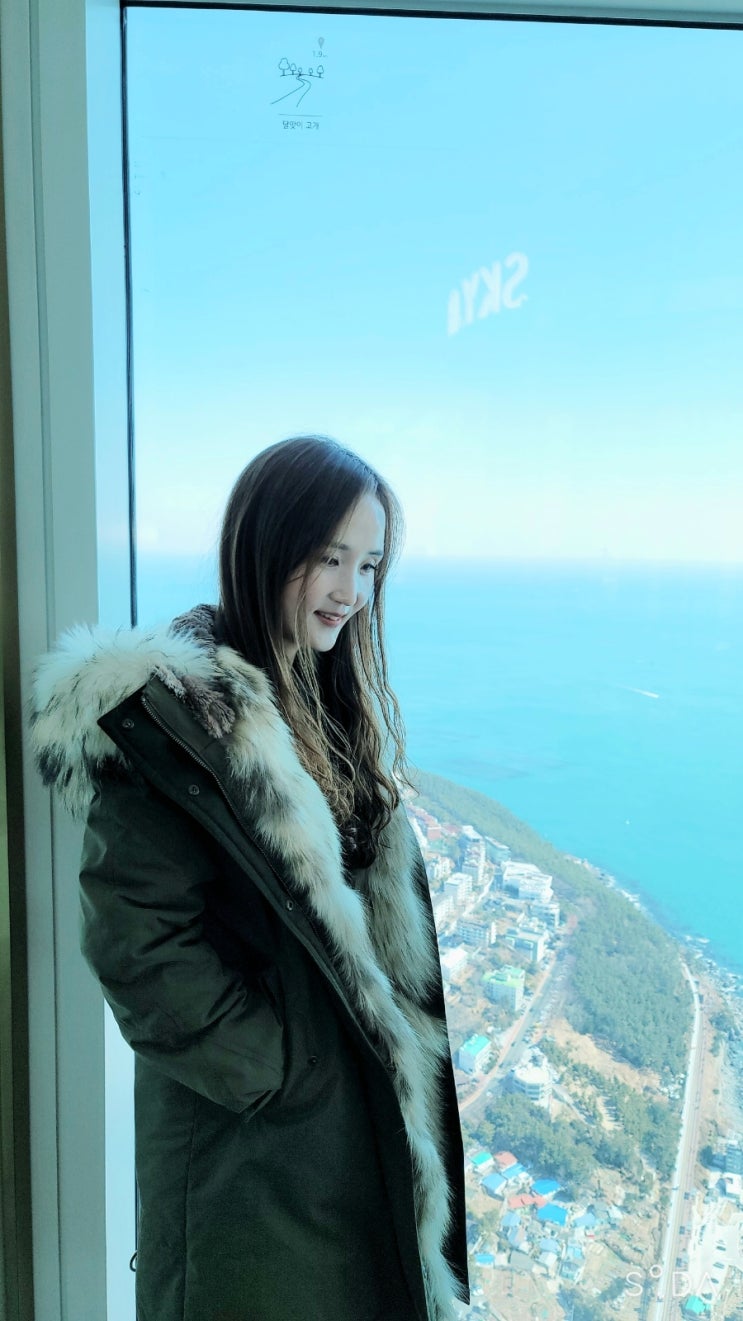 지상 100층에서 바다를 보다 : 네이버 블로그