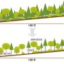 산불예방 숲가꾸기 개념