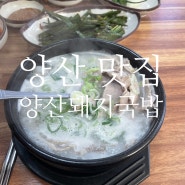 양산맛집 남부시장 '양산돼지국밥'(주차장있습니다! )