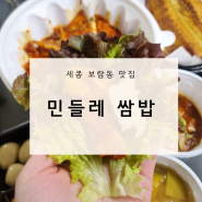 [세종시맛집]민들레쌈밥.보람동맛집.쌈과고기와밥의조합은최고지.존맛탱.건강한.영양소