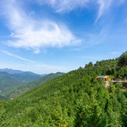 숲나들e - 하동 편백 자연휴양림 '204호 하늘의 방' 숙박 후기