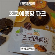 제주 감귤칩 보석귤 초코에퐁당 다크 먹어본 후기