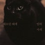 [외국 에세이] 밤의 사색 ㅣ헤르만 헤세가 들려주는 치유의 목소리