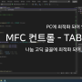 [MFC] Tab 컨트롤 (탭 컨트롤)