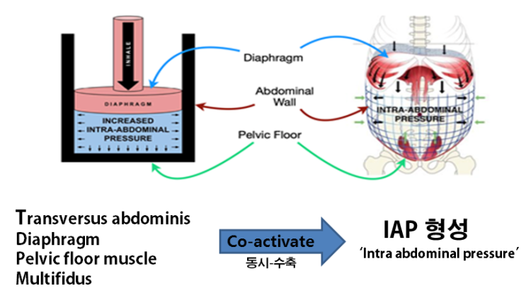 ‘The core’ : Understanding it, and retraining its dysfunction_1 : 네이버 블로그