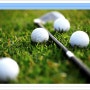 많은 사람들이 좋아하는 골프, 세계적으로 유명한 골프 대회에는 무엇이 있을까요?