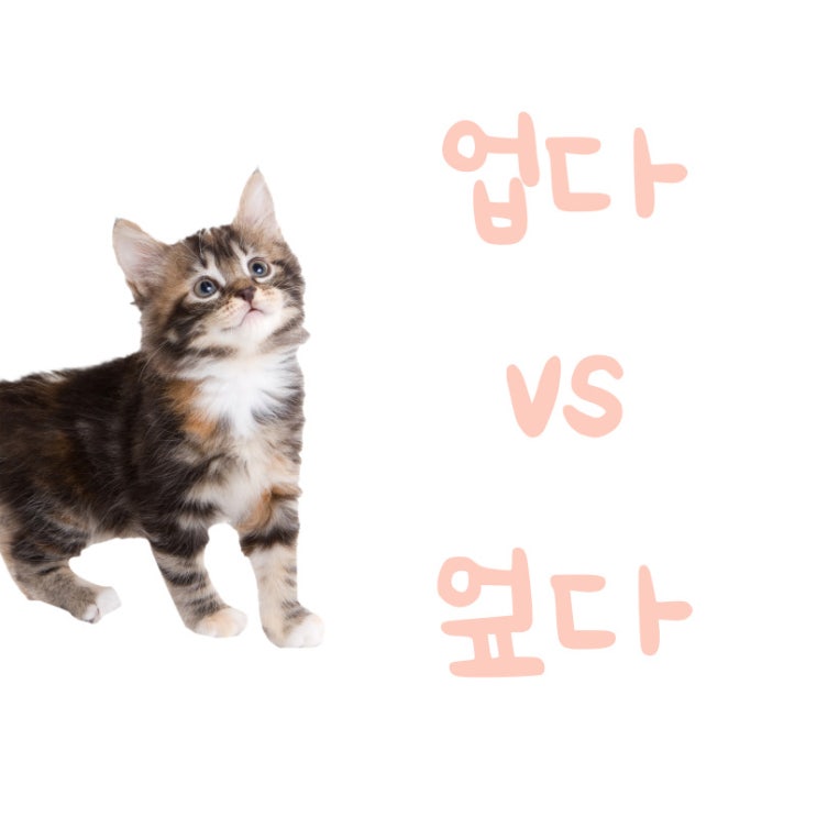 '업다', '엎다' 구별! (등에 엎다? 등에 업다!) : 네이버 블로그
