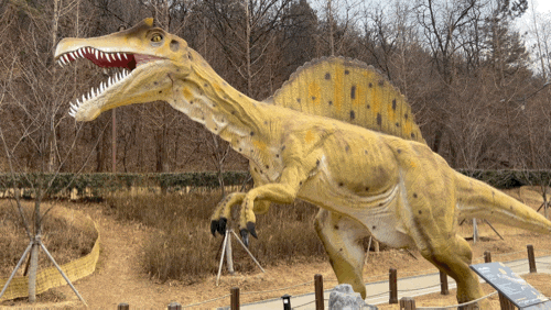 공룡공원 앞산 고산골 나들이 아이들과 산책하기 좋은 곳