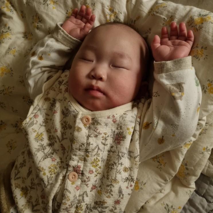 7개월 아기 발달 기록 :: 밤에 우는 아기 이앓이때문이라 믿고 싶은 엄마 : 네이버 블로그