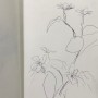 Botanical drawing, 2019