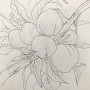 Botanical drawing, 2019