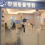 인천 특수동물병원 햄스터 건강검진 찬샘동물병원 진료 후기