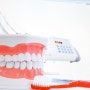 현대 치과보험 가입하기 전에 알아두면 좋은 정보