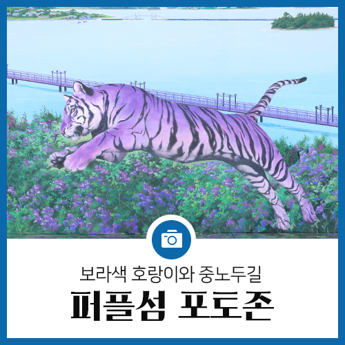 보라색 호랑이가 있는 신안 퍼플섬과 중노두 포토존