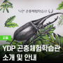 [곤충] YDP 곤충체험학습관
