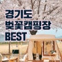 3월~4월 벚꽃캠핑즐기기 경기도 벚꽃캠핑장 BEST 장소 리스트 공유해요