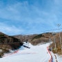 [여행] 겨울여행#2 하이원에서 스키즐기기 - 2022년01월10일(월)~11일(화)