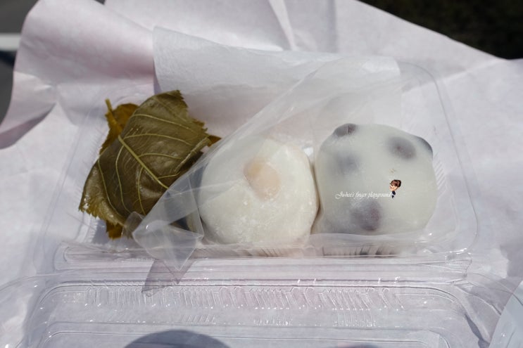 오사카여행 교토 맛집 데마치후타바 콩떡 떡집으로 랜선여행