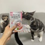 [고양이 습식] 더캣 외식시리즈 캣스토랑 : 특별한 외식