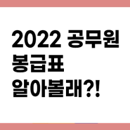 2022 공무원봉급표 총정리 알아볼래? feat. 일반공무원, 경찰,소방, 교원 호봉 봉급