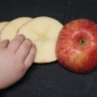 아기 사과 , 자기주도식으로 잡고 먹기 편하게 자르는 꿀팁 *
