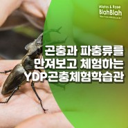 [영등포구SNS구정홍보단] 체험하고 배우는 ydp곤충체험학습관