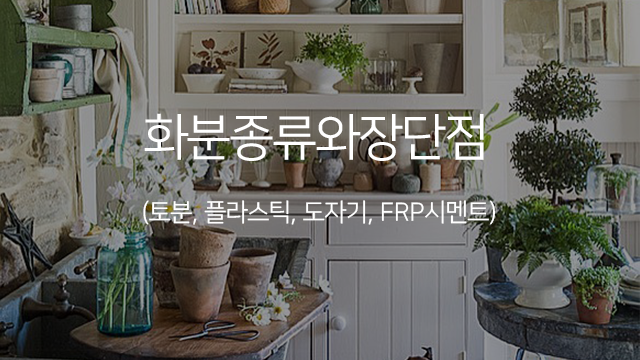 화분종류와 장단점(토분, 플라스틱, 도자기, FRP시멘트) : 네이버 블로그