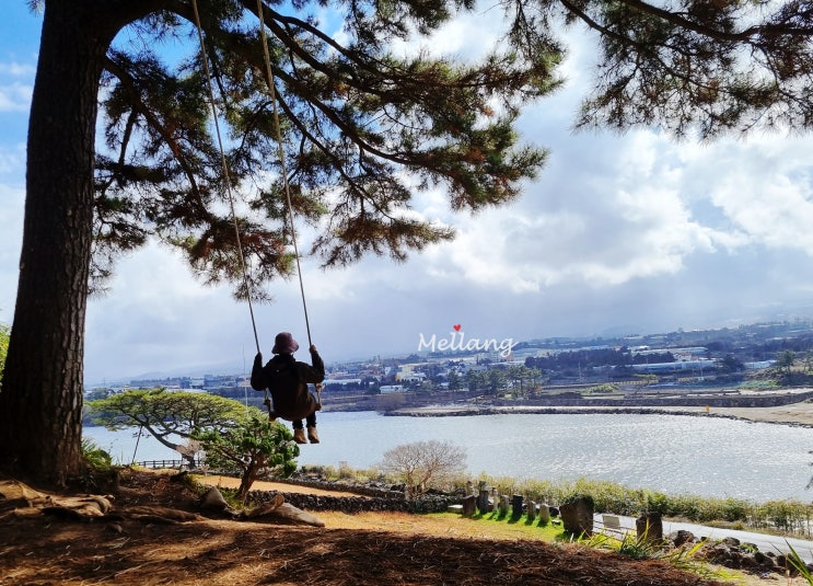 제주 올레길 16코스 돌염전, 수산봉그네, 항파두리 항몽유적지