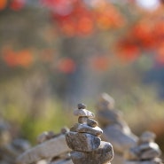 엄마~복들어 온다 복들어 온다 큰 소리로 외쳐보세요~~