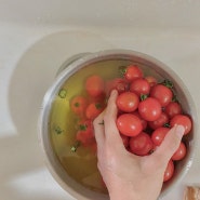 [FAQ #2] 토마토, 너는 왜 색이 변하니?🍅