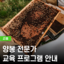 [서울] 2022년 양봉 전문가 교육 프로그램