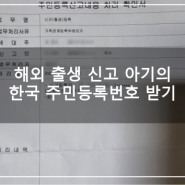 해외 출생 신고 아기의 한국 주민등록번호 받기 (feat. 건강보험)