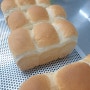 제빵기능사 1주차(1) - 식빵(비상스트레이트법)