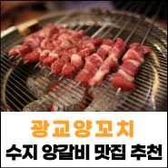 육즙이 살아있는 수지 상현동 맛집 양갈비 술집 광교양꼬치