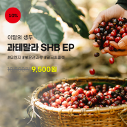 [3월 이벤트] 이달의 생두 '과테말라 SHB EP'