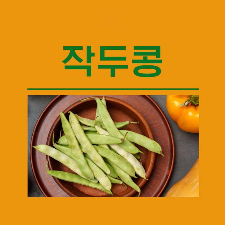 작두콩차 효능 작두콩 먹는법 국산 유기농 방법 부작용 비염 기침 위장에 좋은 차 숙변제거 : 네이버 블로그 작두콩차 효능 작두콩 먹는법 국산 유기농 방법 부작용 비염 기침 위장에 좋은 차 숙변제거 : 네이버 블로그