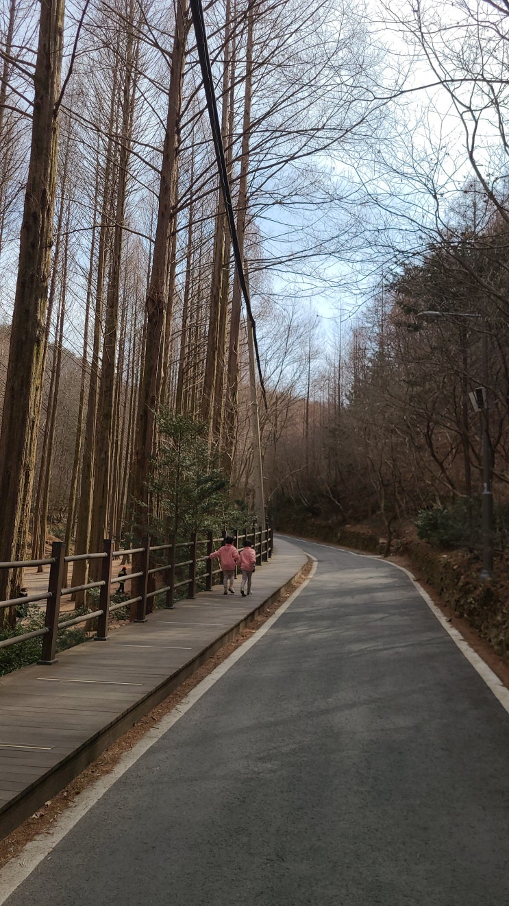 [대전여행] 장태산자연휴양림, 자연과 함께 자라는 아이들