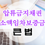 [압류금지채권] 소액임차보증금_주택임대차보호법