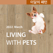 2022 March : 이달의 패턴 Living With Pets