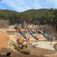 부산 텐트치고 동물구경까지 유아놀이터공원 베스트 "사상근린공원"