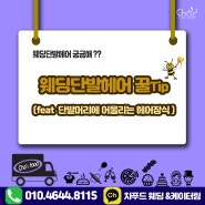 웨딩단발 ) 단발웨딩헤어스타일 의 모든 것! 차푸드가 알려드려요